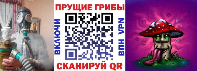 Псилоцибиновые грибы мицелий Слюдянка
