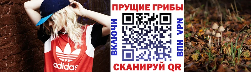 где продают наркотики  гидра   Псилоцибиновые грибы мицелий  Слюдянка 